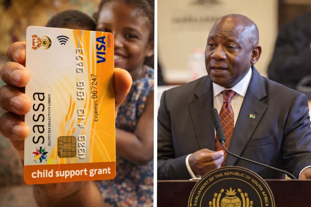About the child support grant 1 child support grant
